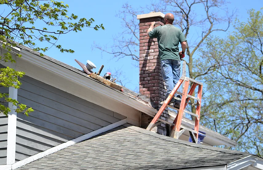 Chimney & Fireplace Inspections Services in Libertyville, IL